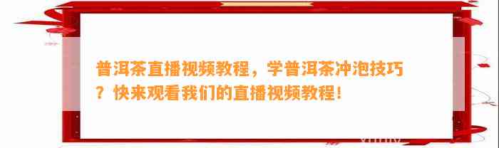 普洱茶直播视频教程，学普洱茶冲泡技巧？快来观看我们的直播视频教程！