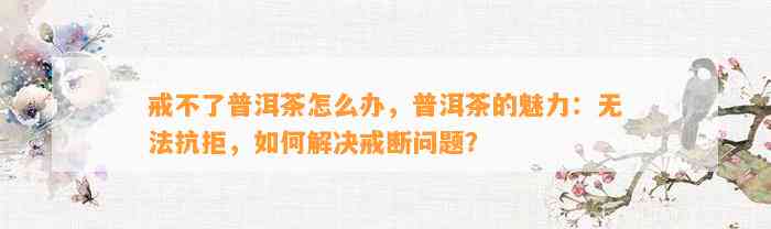 戒不了普洱茶怎么办，普洱茶的魅力：无法抗拒，怎样解决戒断疑问？