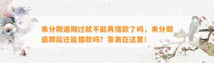 来分期逾期过就不能再借款了吗，来分期逾期后还能借款吗？答案在这里！