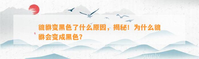 貔貅变黑色了什么起因，揭秘！为什么貔貅会变成黑色？