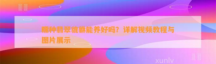 糯种翡翠貔貅能养好吗？详解视频教程与图片展示