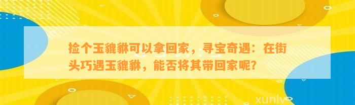 捡个玉貔貅可以拿回家，寻宝奇遇：在街头巧遇玉貔貅，能否将其带回家呢？