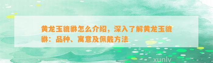 貔貅怎么介绍，深入熟悉貔貅：品种、寓意及佩戴方法