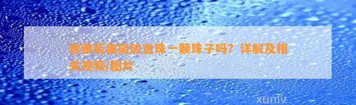 貔貅后面能放金珠一颗珠子吗？详解及相关视频/图片