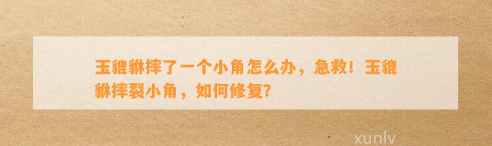 玉貔貅摔了一个小角怎么办，急救！玉貔貅摔裂小角，怎样修复？