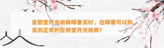 吉照堂开光貔貅哪里买好，在哪里可以购买到正宗的吉照堂开光貔貅？