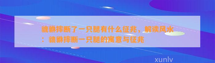 貔貅摔断了一只腿有什么征兆，解读风水：貔貅摔断一只腿的寓意与征兆