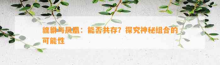 貔貅与凤凰：能否共存？探究神秘组合的可能性