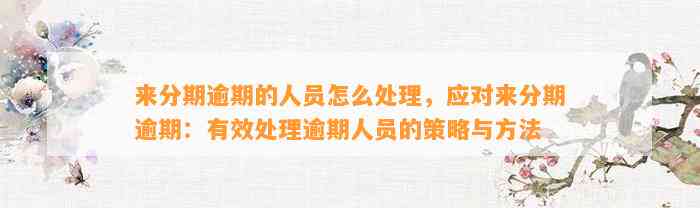 来分期逾期的人员怎么处理，应对来分期逾期：有效处理逾期人员的策略与方法