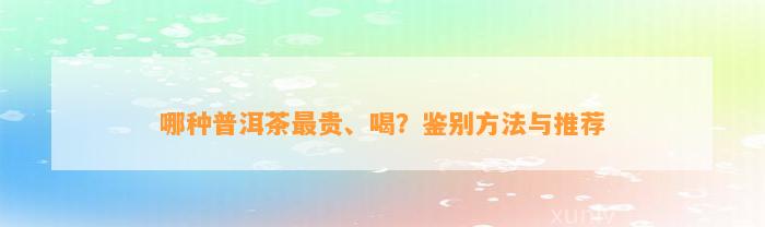 哪种普洱茶最贵、喝？鉴别方法与推荐