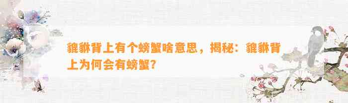 貔貅背上有个螃蟹啥意思，揭秘：貔貅背上为何会有螃蟹？