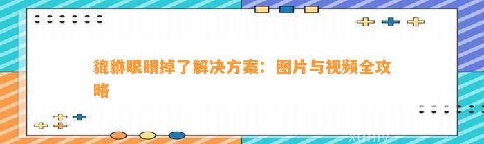 貔貅眼睛掉熟悉决方案：图片与视频全攻略