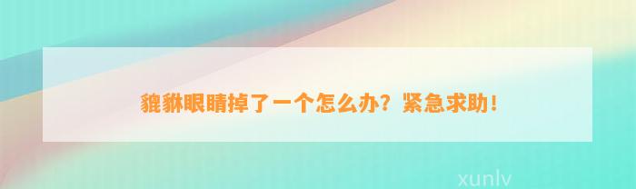 貔貅眼睛掉了一个怎么办？紧急求助！