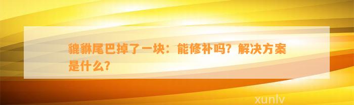 貔貅尾巴掉了一块：能修补吗？解决方案是什么？