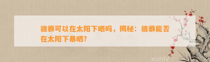 貔貅可以在太阳下晒吗，揭秘：貔貅能否在太阳下暴晒？