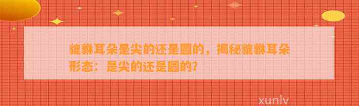 貔貅耳朵是尖的还是圆的，揭秘貔貅耳朵形态：是尖的还是圆的？