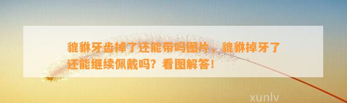 貔貅牙齿掉了还能带吗图片，貔貅掉牙了还能继续佩戴吗？看图解答！