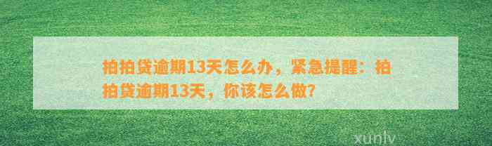 拍拍贷逾期13天怎么办，紧急提醒：拍拍贷逾期13天，你该怎么做？