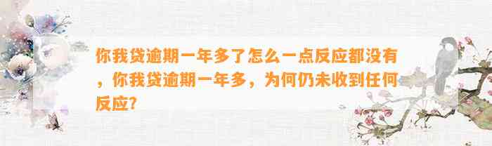 你我贷逾期一年多了怎么一点反应都没有，你我贷逾期一年多，为何仍未收到任何反应？