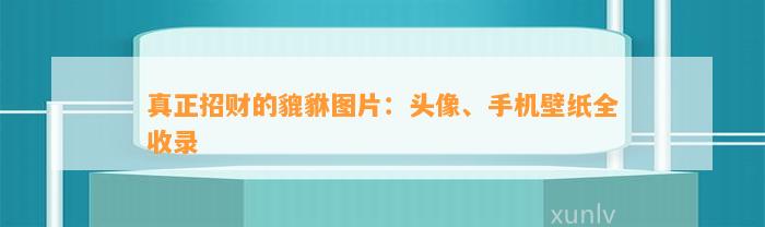 真正招财的貔貅图片：头像、手机壁纸全收录