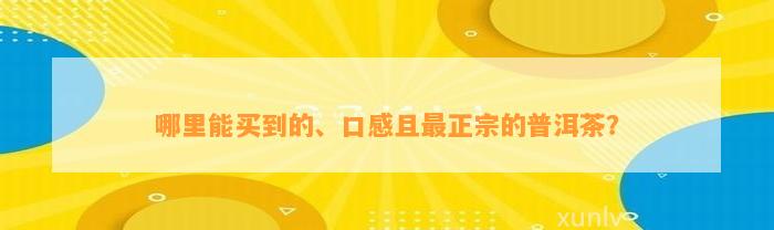 哪里能买到的、口感且最正宗的普洱茶？