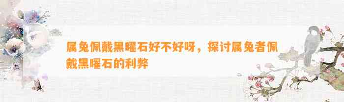 属兔佩戴黑曜石好不好呀，探讨属兔者佩戴黑曜石的利弊