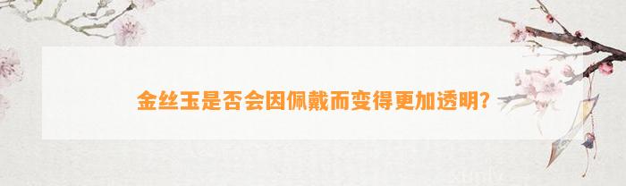 金丝玉是不是会因佩戴而变得更加透明？