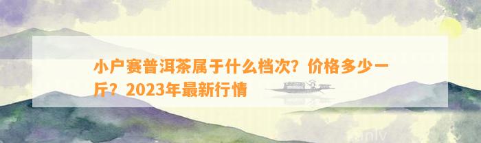 小户赛普洱茶属于什么档次？价格多少一斤？2023年最新行情