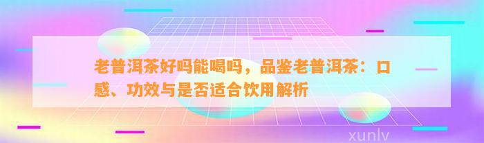 老普洱茶好吗能喝吗，品鉴老普洱茶：口感、功效与是否适合饮用解析