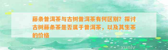 藤条普洱茶与古树普洱茶有何区别？探讨古树藤条茶是不是属于普洱茶，以及其生茶的价格