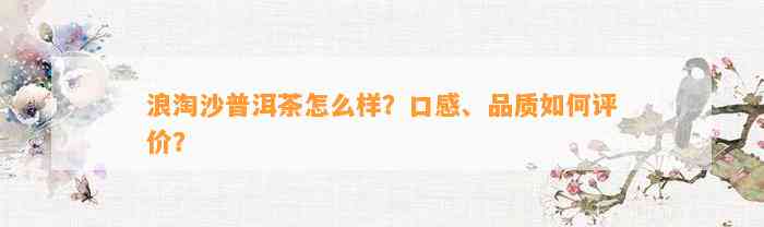 浪淘沙普洱茶怎么样？口感、品质怎样评价？