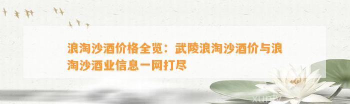 浪淘沙酒价格全览：武陵浪淘沙酒价与浪淘沙酒业信息一网打尽