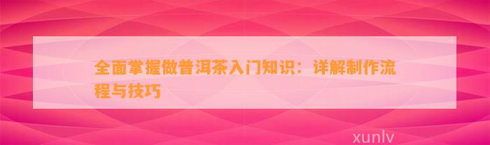 全面掌握做普洱茶入门知识：详解制作流程与技巧