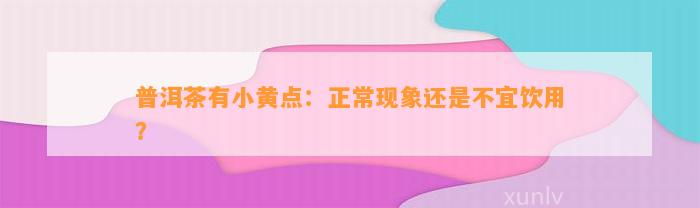 普洱茶有小黄点：正常现象还是不宜饮用？