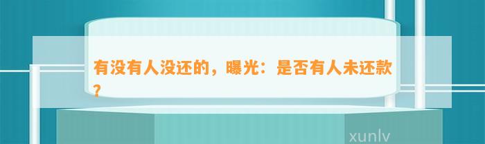 有没有人没还的，曝光：是否有人未还款？