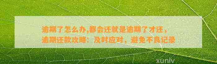 逾期了怎么办,都会还就是逾期了才还，逾期还款攻略：及时应对，避免不良记录