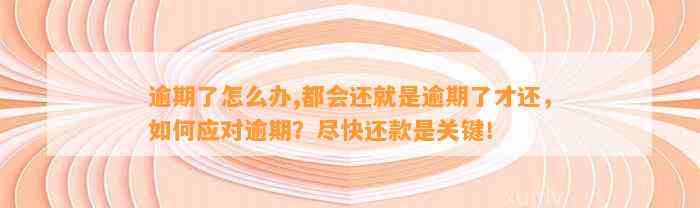 逾期了怎么办,都会还就是逾期了才还，如何应对逾期？尽快还款是关键！