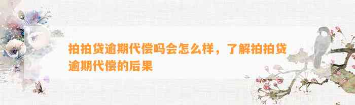 拍拍贷逾期代偿吗会怎么样，了解拍拍贷逾期代偿的后果