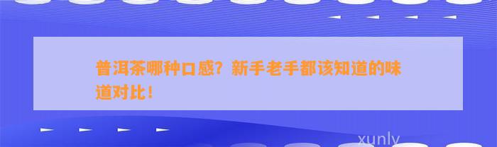 普洱茶哪种口感？新手老手都该知道的味道对比！