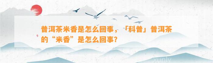 普洱茶米香是怎么回事，「科普」普洱茶的“米香”是怎么回事？