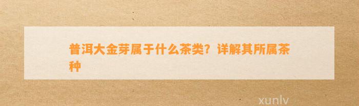 普洱大金芽属于什么茶类？详解其所属茶种