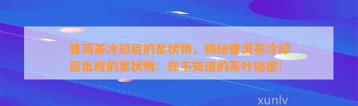 普洱茶冷却后的絮状物，揭秘普洱茶冷却后出现的絮状物：你不知道的茶叶秘密！