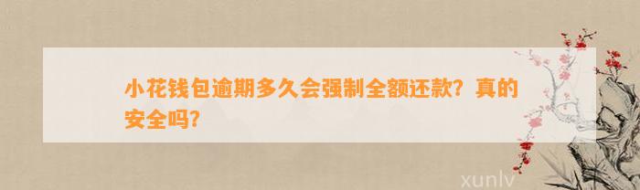 小花钱包逾期多久会强制全额还款？真的安全吗？