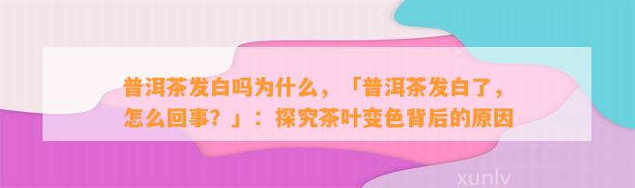 普洱茶发白吗为什么，「普洱茶发白了，怎么回事？」：探究茶叶变色背后的起因