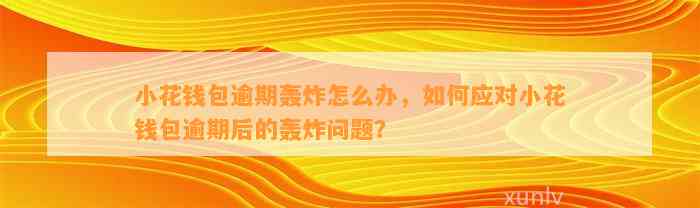 小花钱包逾期轰炸怎么办，如何应对小花钱包逾期后的轰炸问题？