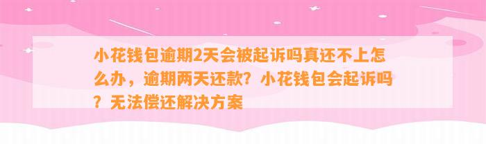 小花钱包逾期2天会被起诉吗真还不上怎么办，逾期两天还款？小花钱包会起诉吗？无法偿还解决方案