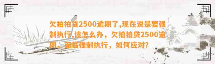 欠拍拍贷2500逾期了,现在说是要强制执行,该怎么办，欠拍拍贷2500逾期，面临强制执行，如何应对？