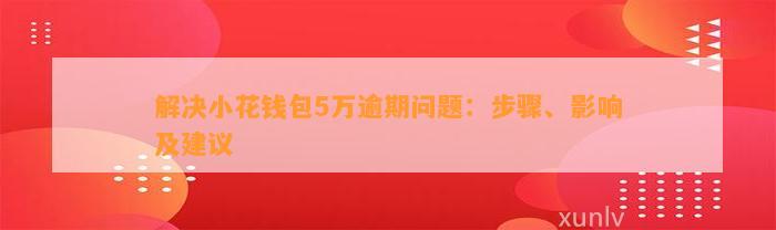 解决小花钱包5万逾期问题：步骤、影响及建议