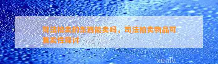 司法拍卖的东西能卖吗，司法拍卖物品可售卖性探讨