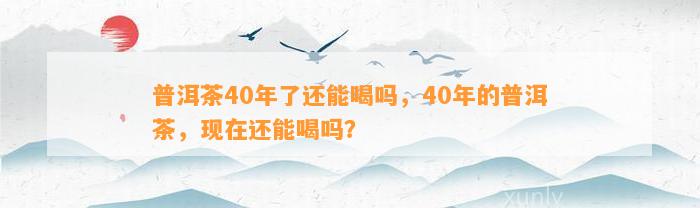 普洱茶40年了还能喝吗，40年的普洱茶，现在还能喝吗？